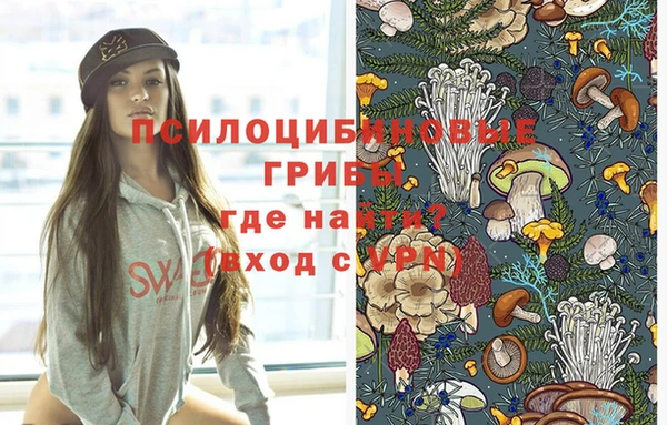 гашишное масло Новодвинск