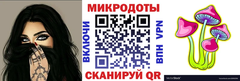 Псилоцибиновые грибы Psilocybine cubensis  Фролово 